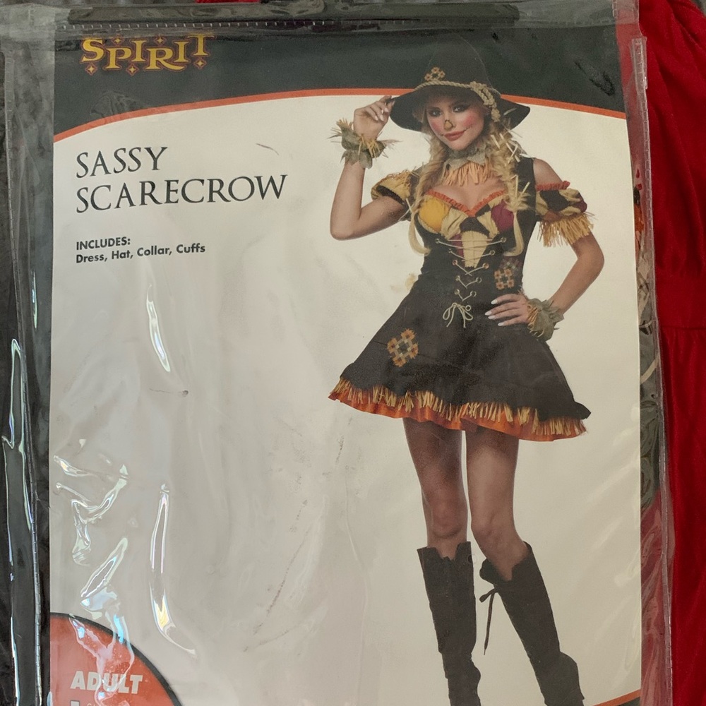 Sexy scarecrow costume